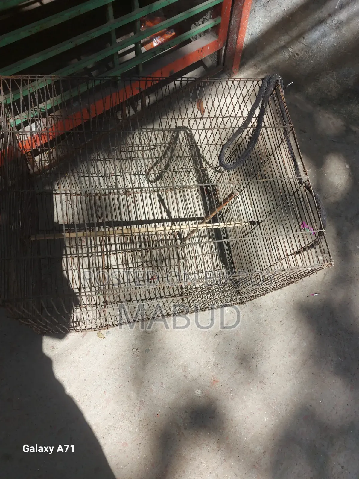 Two Cages Will Be Sold