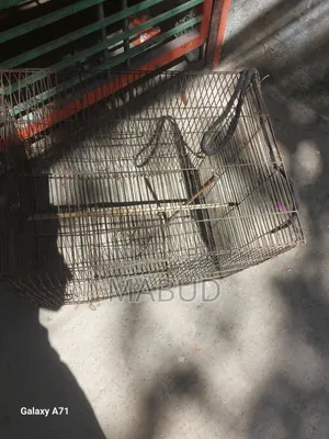 Two Cages Will Be Sold