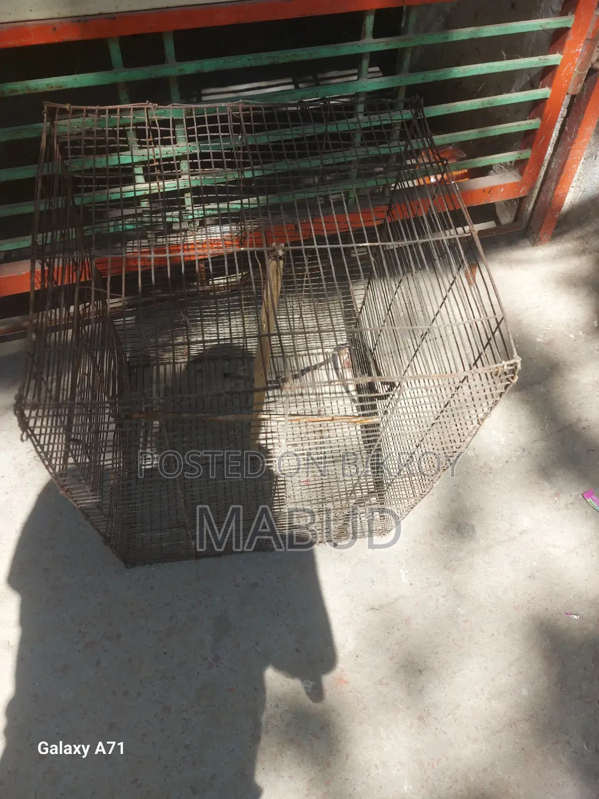 Two Cages Will Be Sold