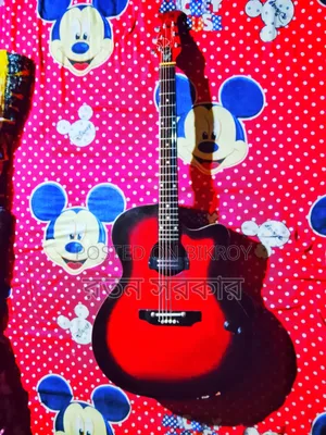 Student Guitar