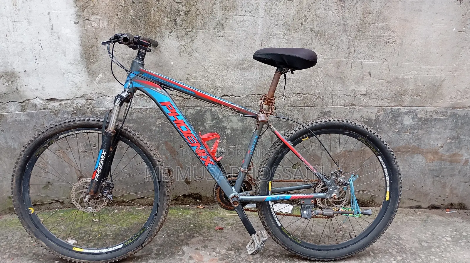 Phoenix Cycle
