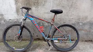 Phoenix Cycle