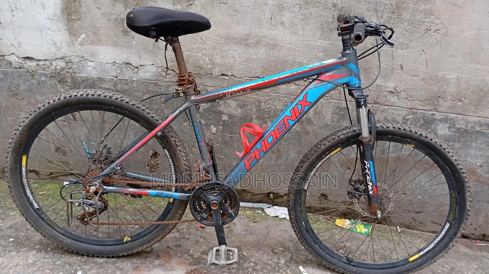 Phoenix Cycle