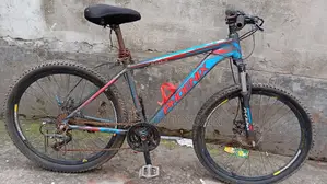 Phoenix Cycle