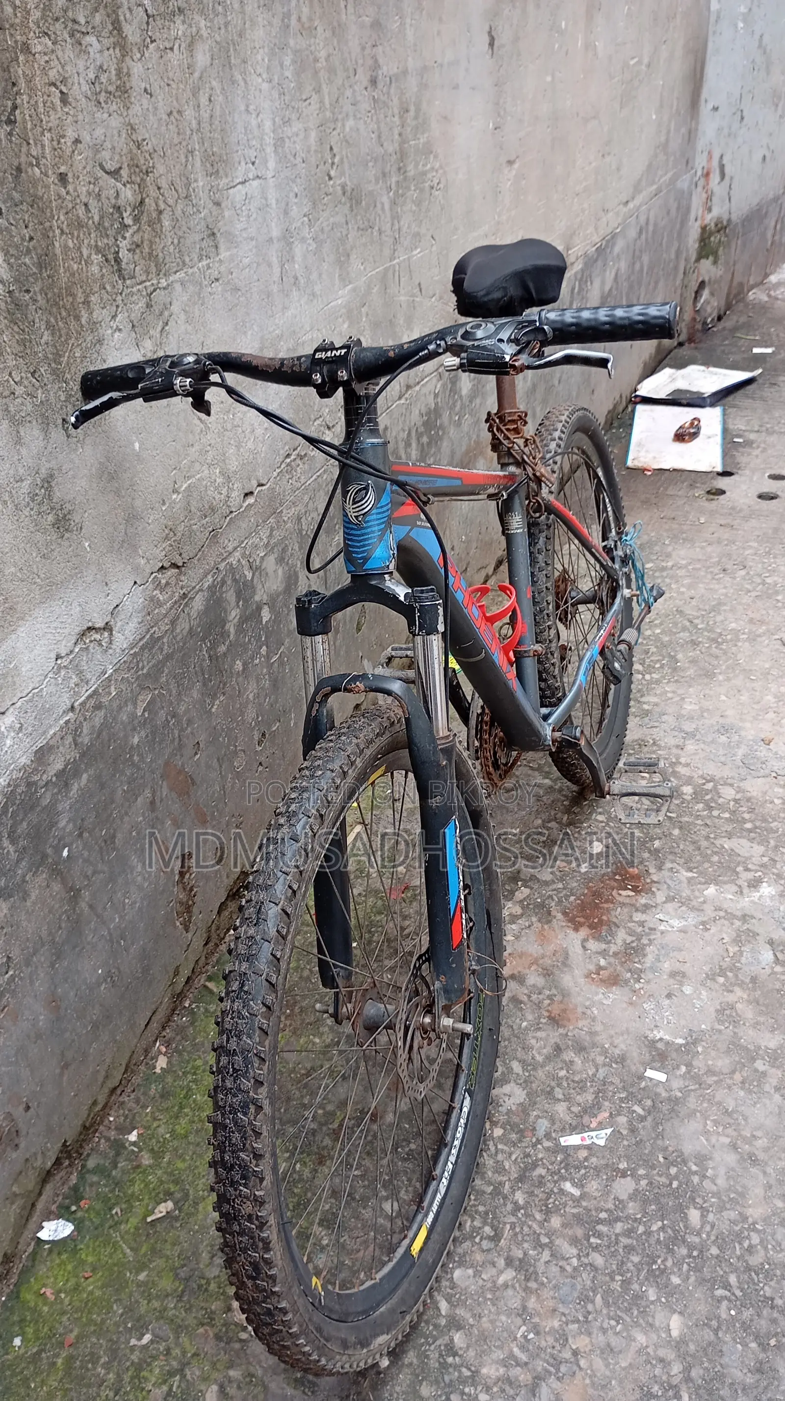 Phoenix Cycle