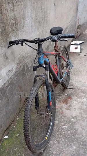 Phoenix Cycle