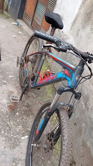 Phoenix Cycle