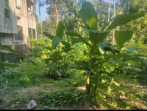 মৌলভীবাজারে সৈয়ারপূর স্কুল রোডে, ৩.৫ শতক জমি বিক্রি হবে।