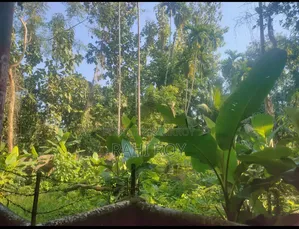 3.5 decimals of land for sale on Syedpur School Road in Moulvibazar.