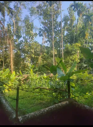 3.5 decimals of land for sale on Syedpur School Road in Moulvibazar.