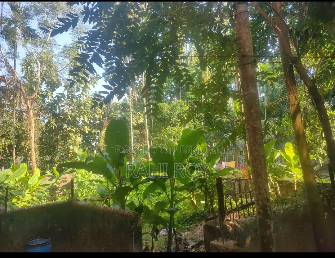 3.5 decimals of land for sale on Syedpur School Road in Moulvibazar.