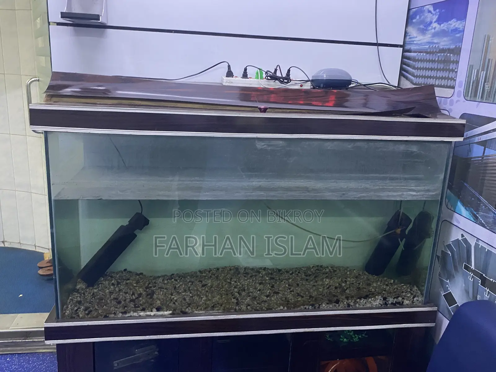ক্যাবিনেটসহ অ্যাকোয়ারিয়াম মাছ