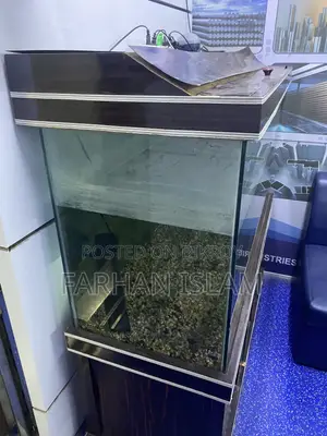 ক্যাবিনেটসহ অ্যাকোয়ারিয়াম মাছ