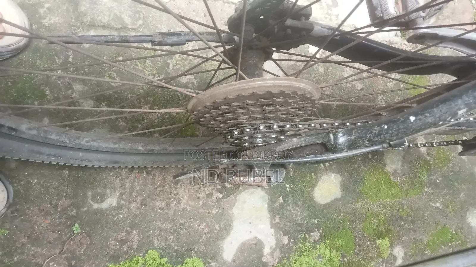 Cycle for Sell
