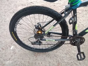 Gear Phoenix Cycle