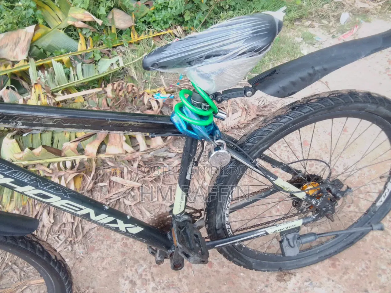 Gear Phoenix Cycle