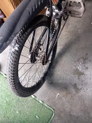 Phoenix Company Bicycle for Sale