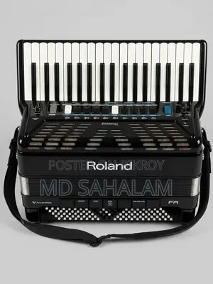 Roland v-Accordion - High Quality Digital Accordion (Mint Condition)