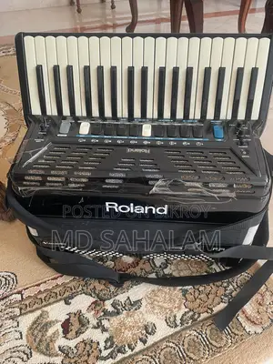 Roland v-Accordion - High Quality Digital Accordion (Mint Condition)
