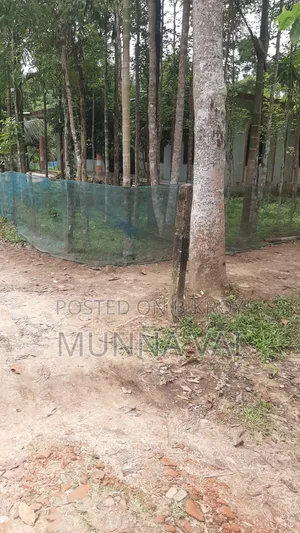 বাড়ির জন্য জমি