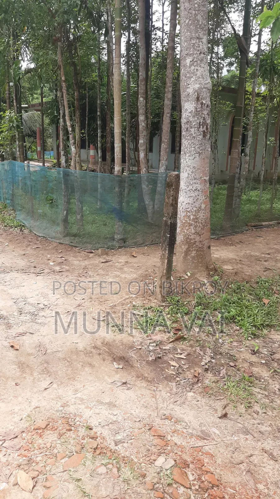 বাড়ির জন্য জমি