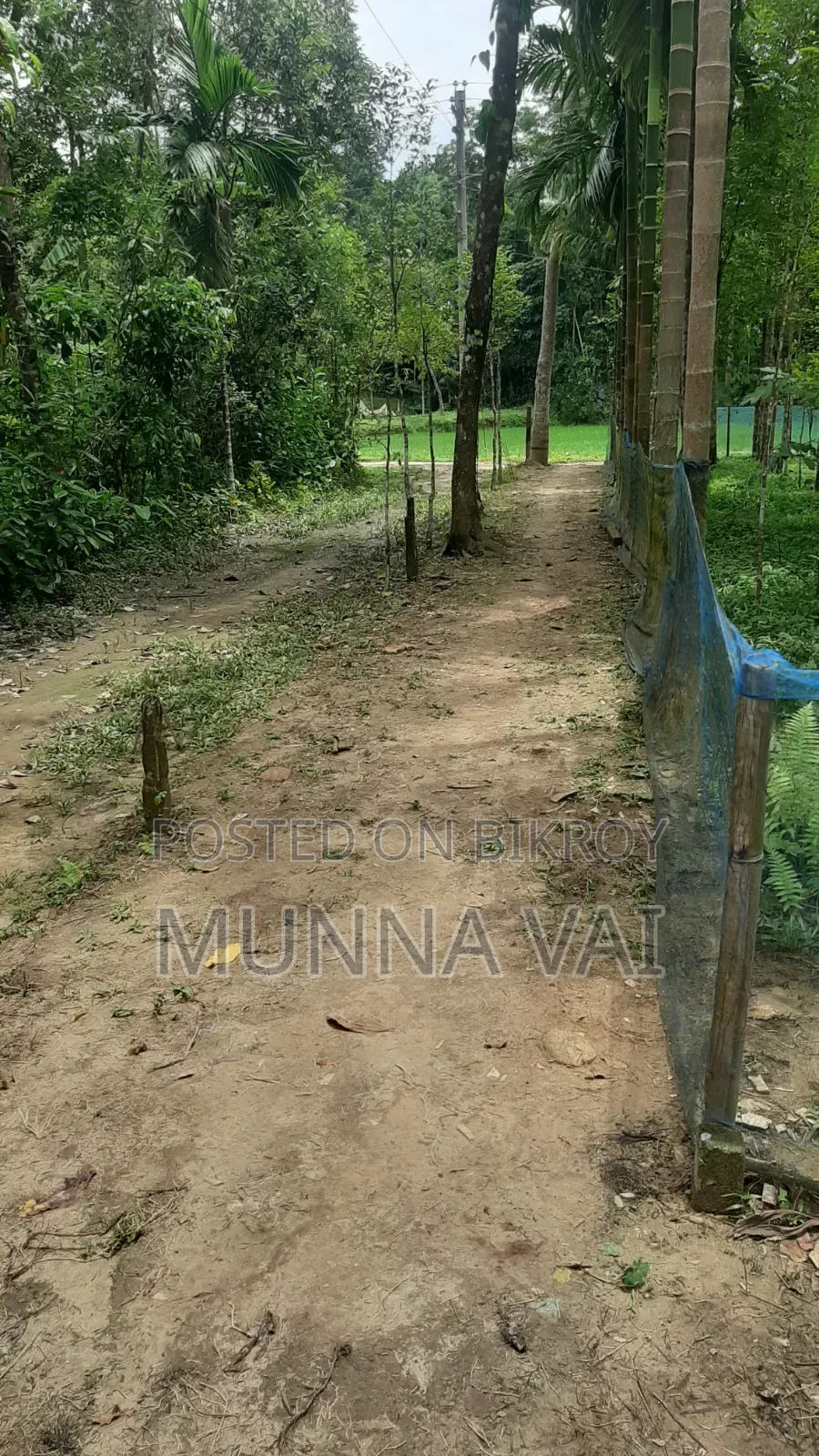 বাড়ির জন্য জমি