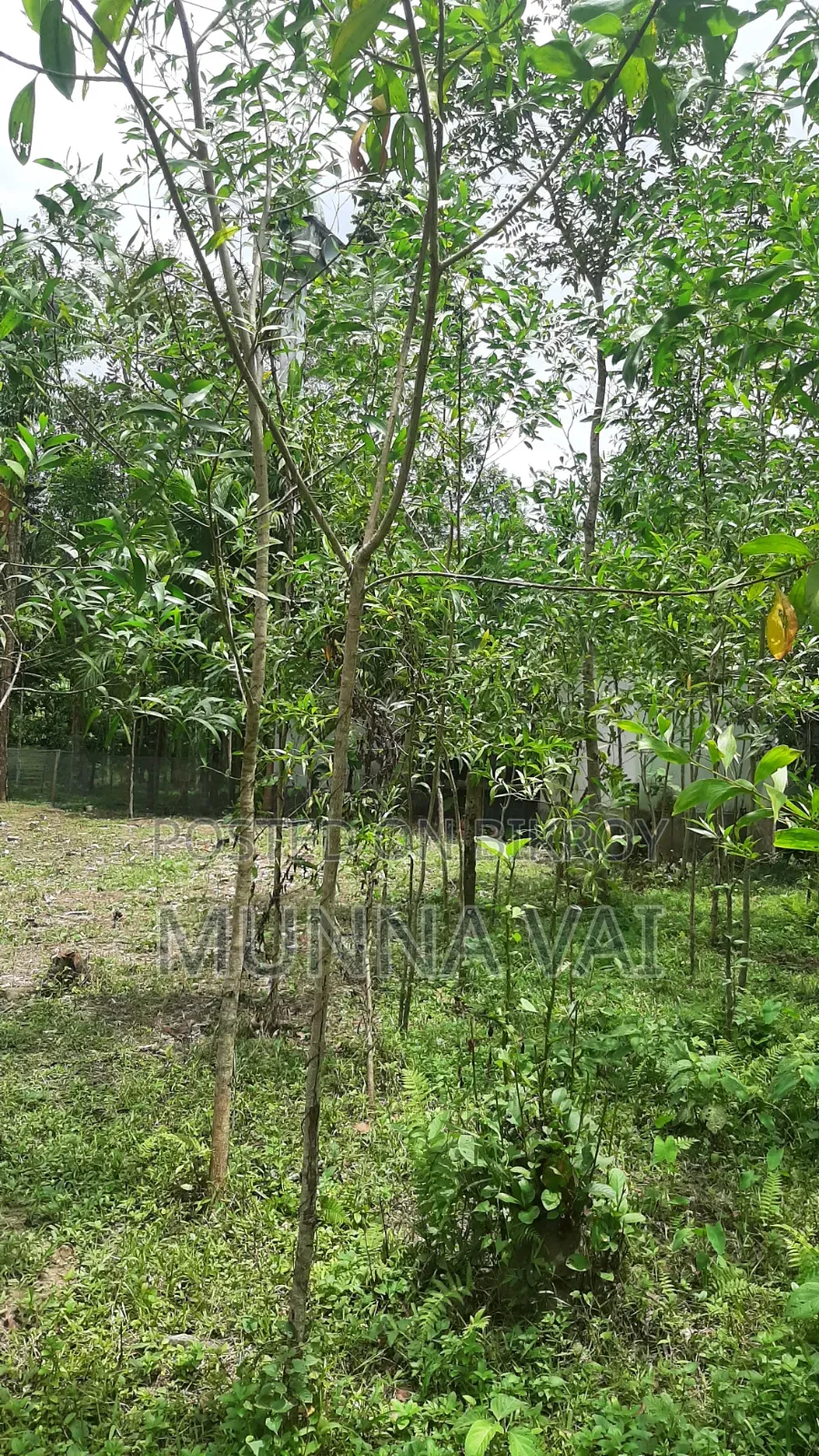 বাড়ির জন্য জমি