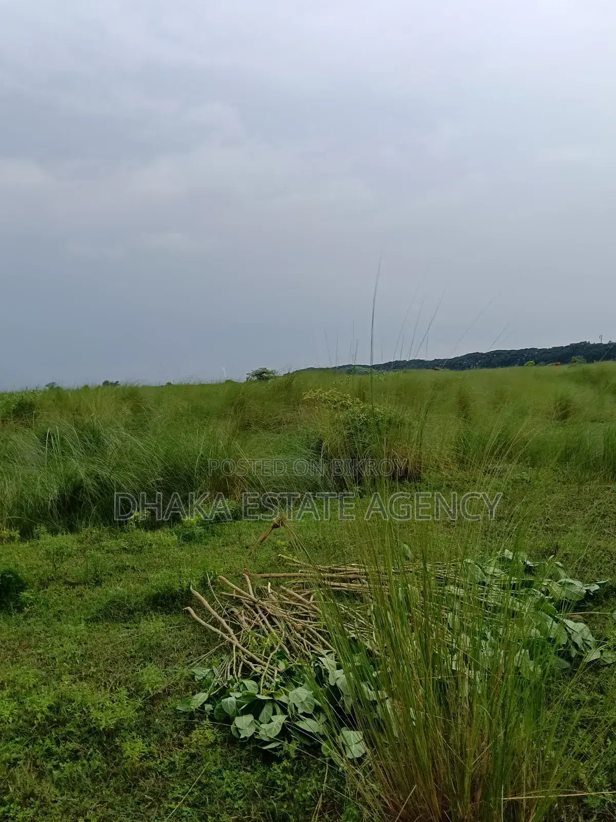 Block N Extension, 20 Katha 3 Side Road-40/25/25