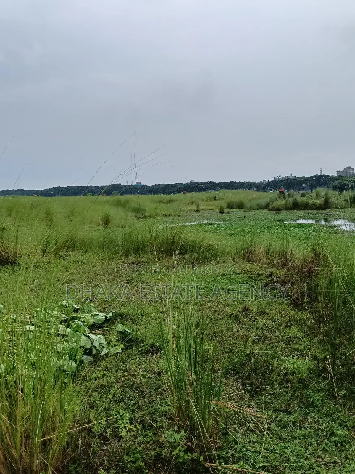 Block N Extension, 20 Katha 3 Side Road-40/25/25