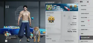 Gaming Account