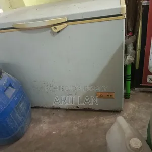 290 Liter Singer Deep Freezer