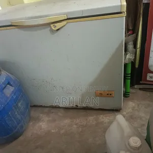 290 Liter Singer Deep Freezer