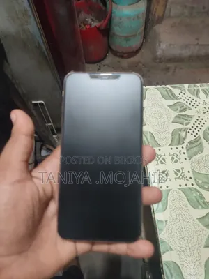 অ্যাপল আইফোন এক্সএস ম্যাক্স ২৫৬ জিবি রোজ গোল্ড
