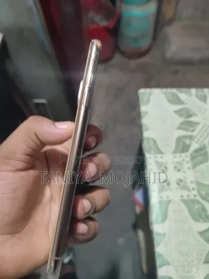 অ্যাপল আইফোন এক্সএস ম্যাক্স ২৫৬ জিবি রোজ গোল্ড