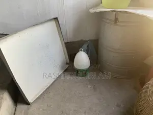 Pigeon Bath Tray and Water Pot