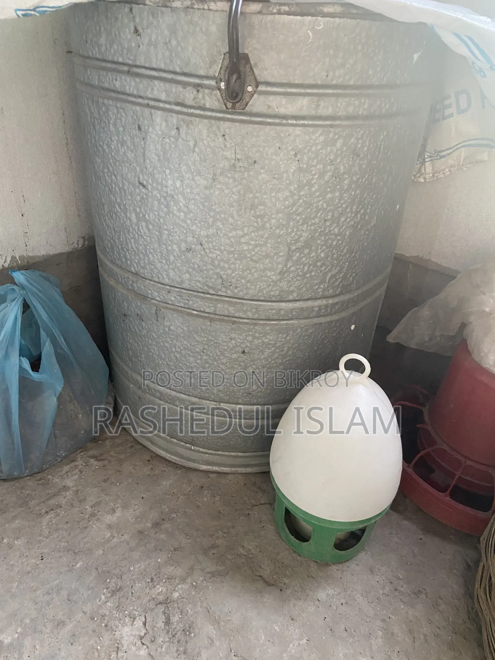 Pigeon Bath Tray and Water Pot