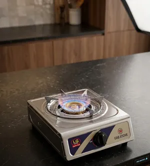 Gas Stove