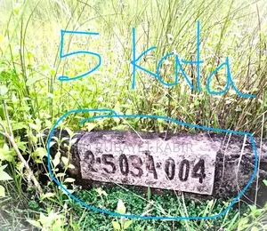 A 5 katha plot for sale in Jalsiri