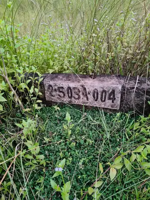 A 5 Katha Plot Will Be Sold in Jalsiri