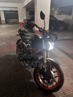 Runner Bolt 165R 2022 Black