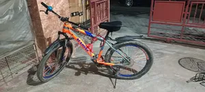 Marine Bicycle