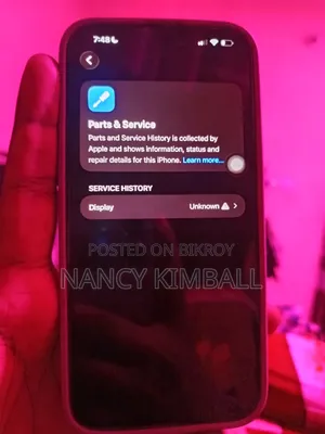 Apple iPhone 15 Pro Max 256 GB Gray