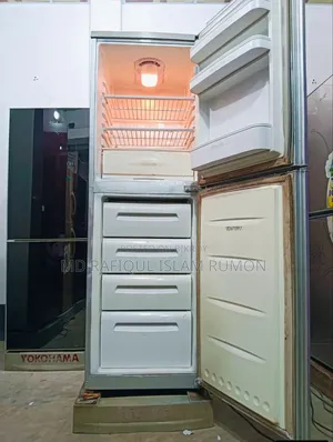 বাটারফ্লাই ফ্রিজ - ২৬০ লিটার