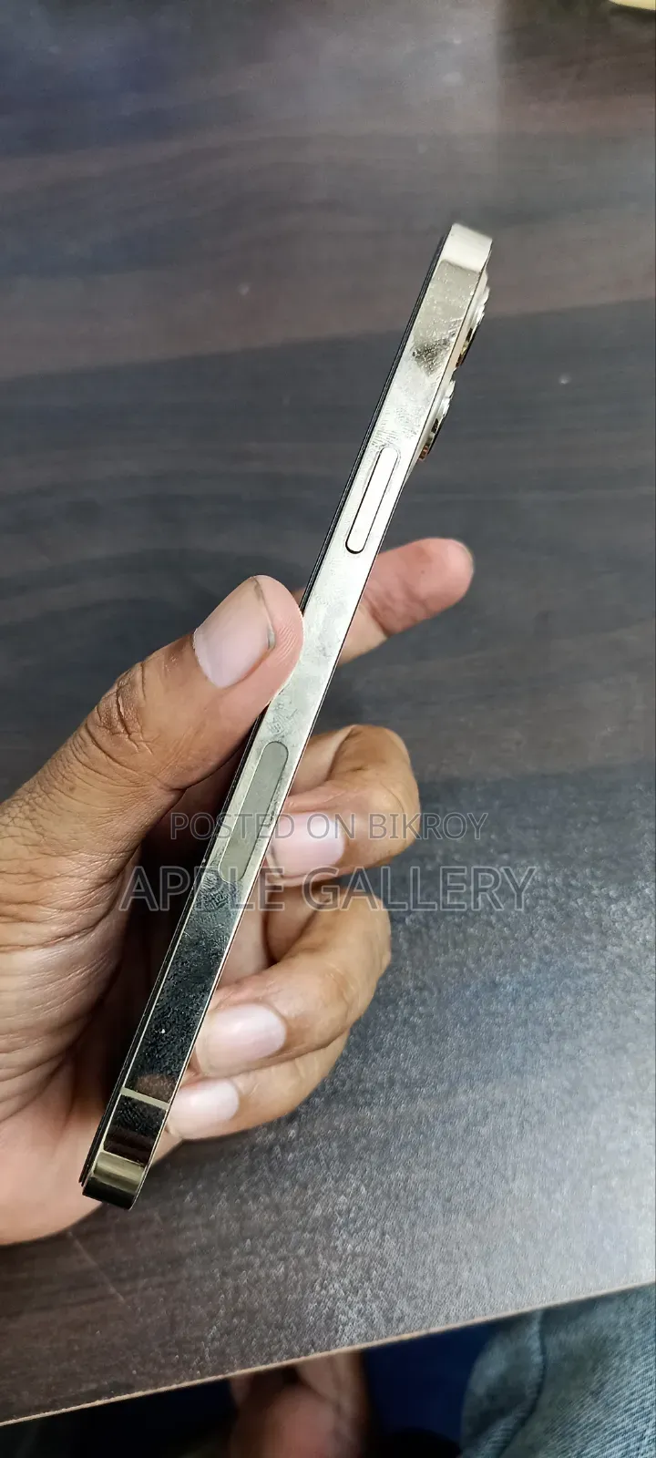 অ্যাপল আইফোন ১২ প্রো ম্যাক্স ১২৮ জিবি গোল্ড