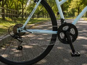 Multi Gears Brand New Standard Quality Bicycle Low Cost