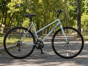 Multi Gears Brand New Standard Quality Bicycle Low Cost