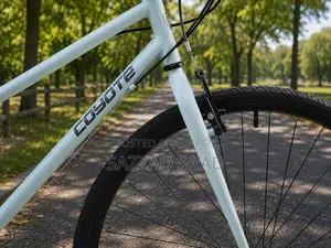 Multi Gears Brand New Standard Quality Bicycle Low Cost