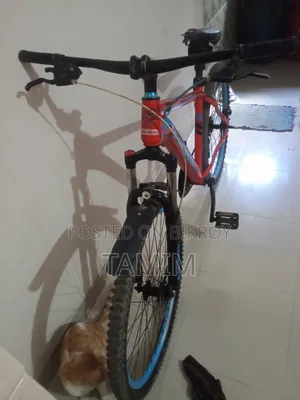বাই সাইকেল সাইকেল