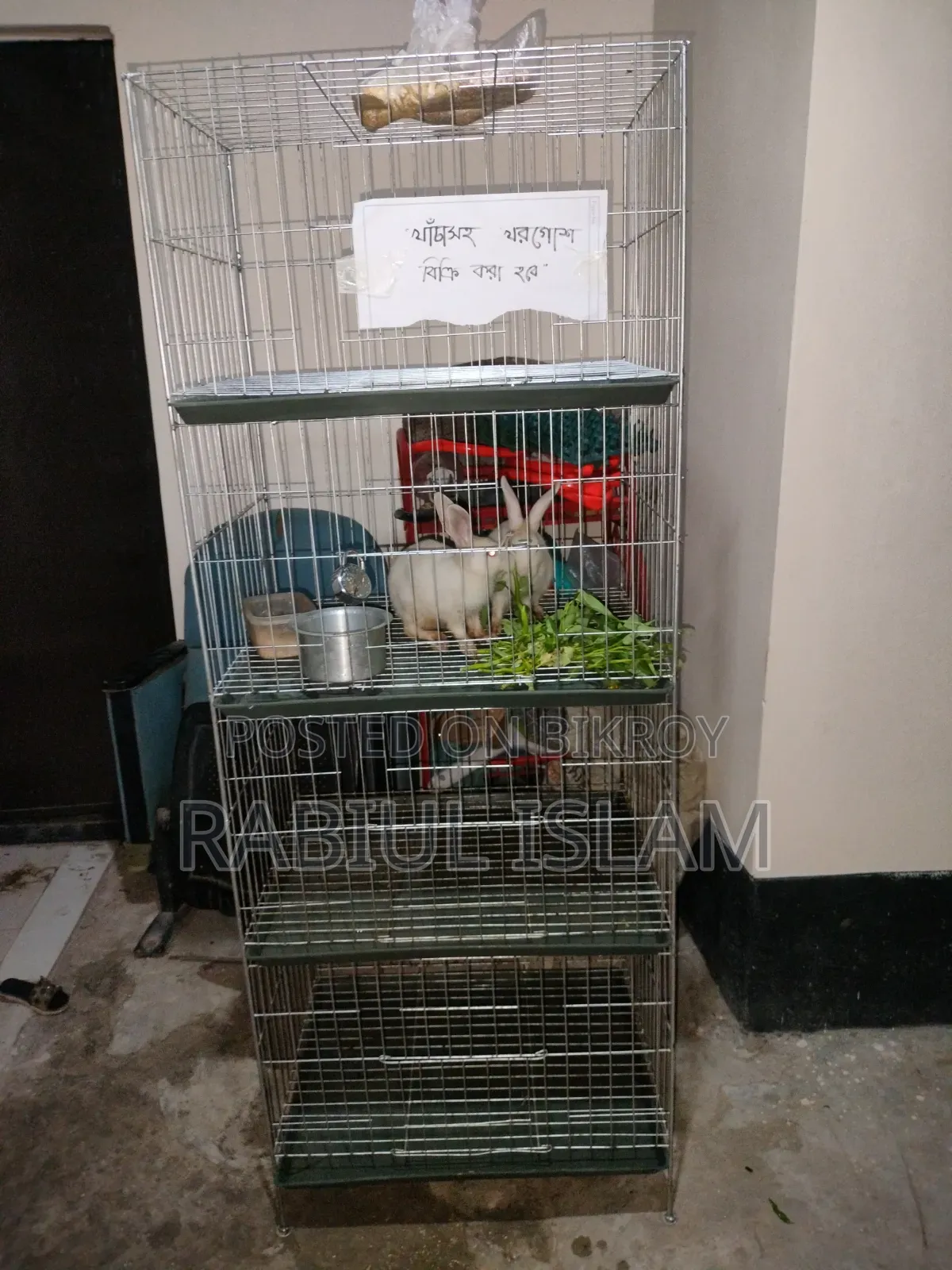 খাঁচা সহ খরগোশ বিক্রি করা হবে।