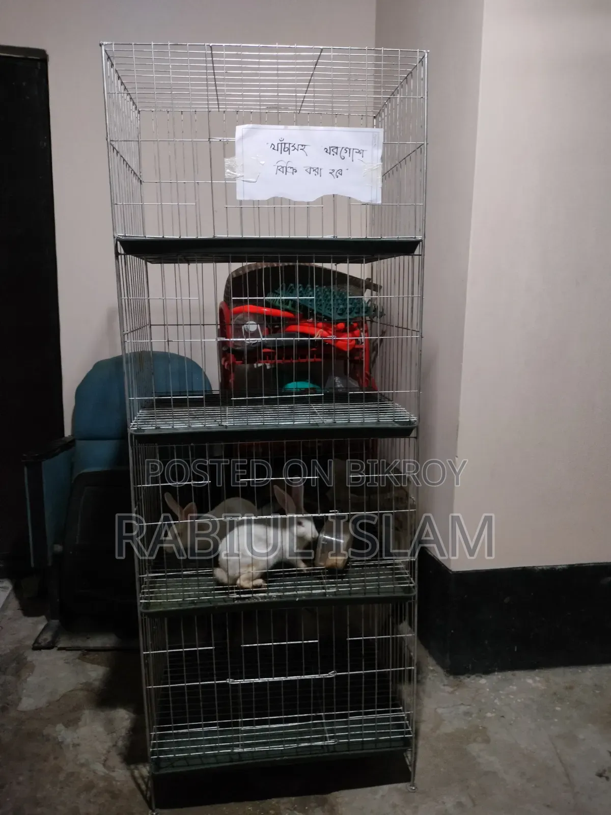 খাঁচা সহ খরগোশ বিক্রি করা হবে।
